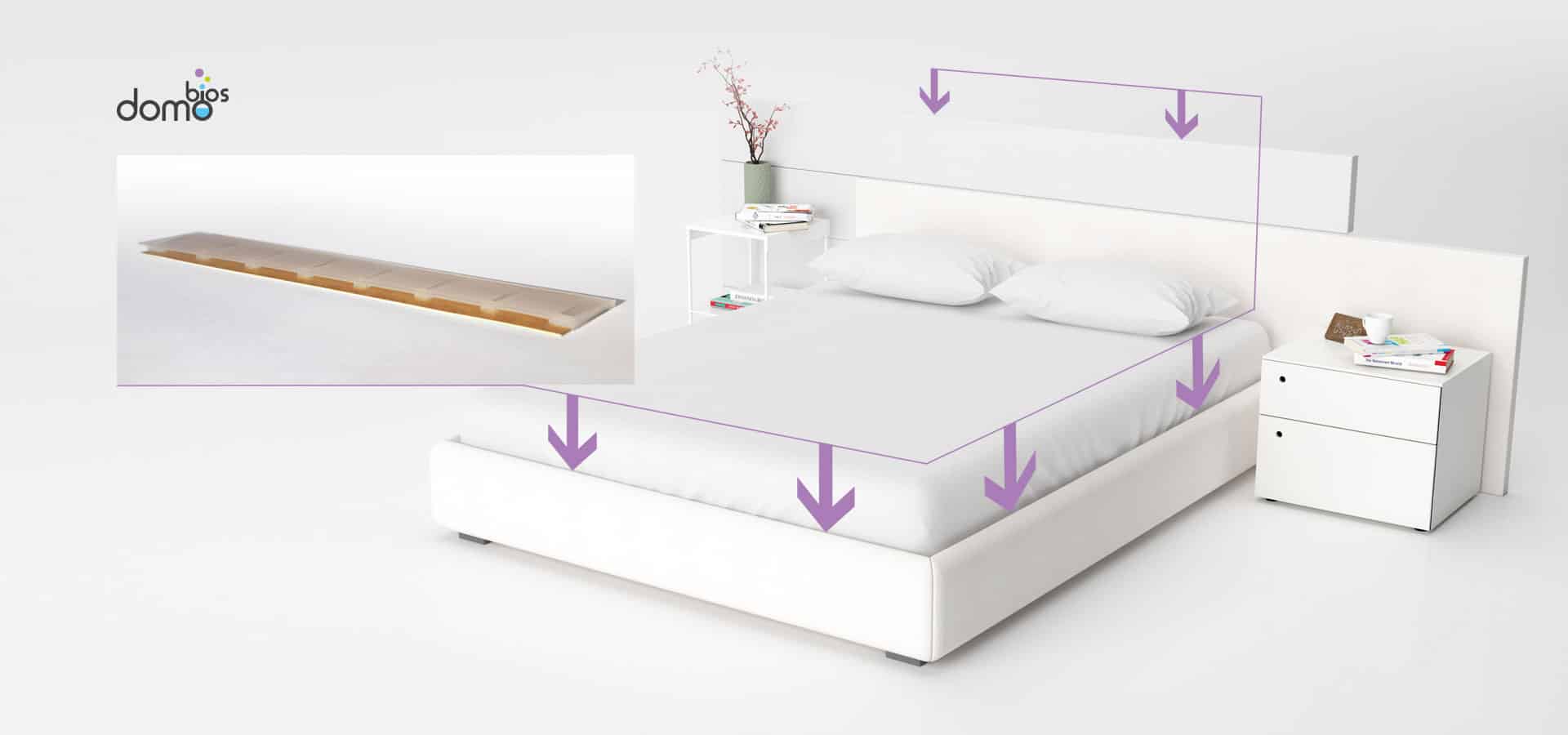 3 pièges de détection punaises de lit avec attractif, vente au meilleur  prix