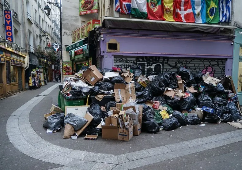 Les conséquences de la grève des éboueurs à Paris sur les nuisibles