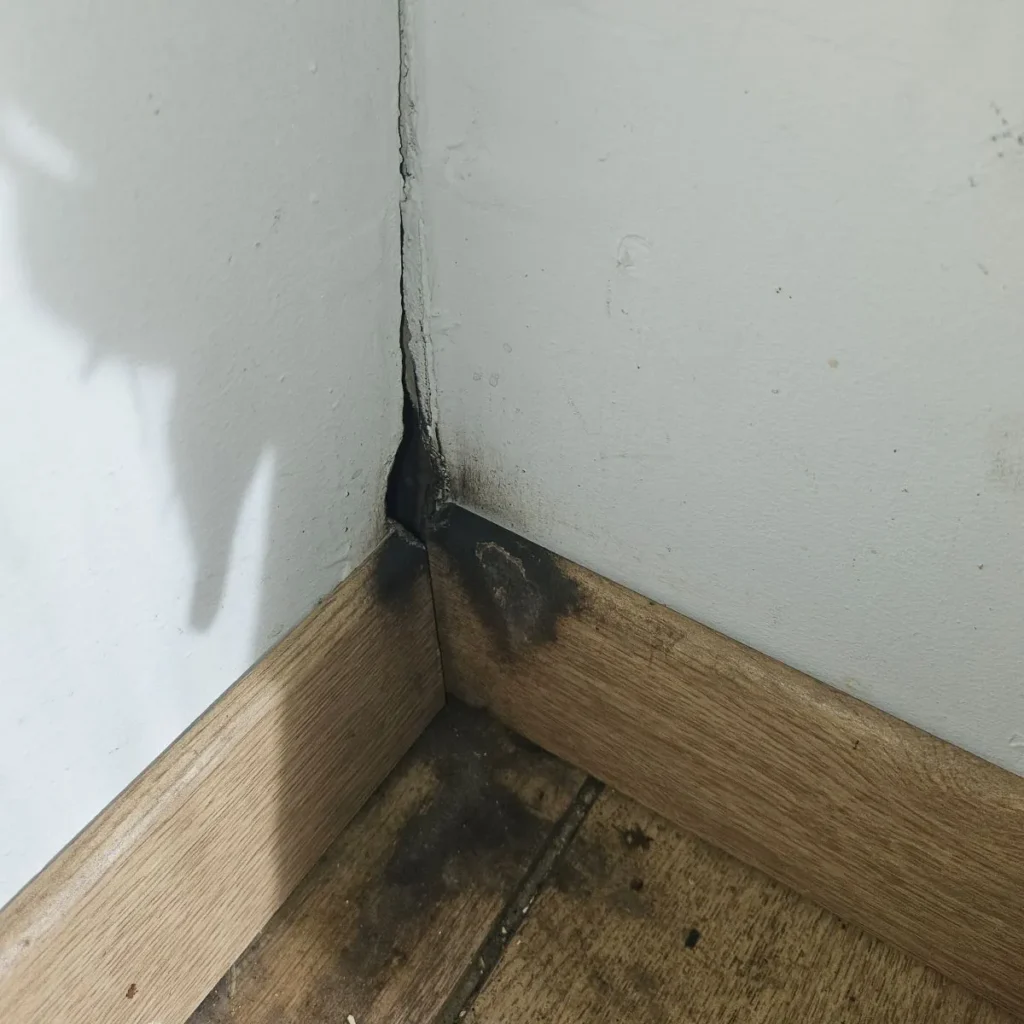 trou de souris dans un mur